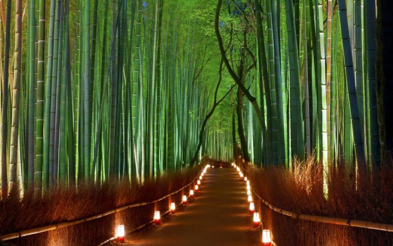 Bosque de Arashiyama