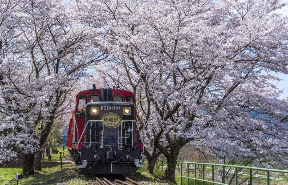 Un viaje en el tren Sagano, el paseo más romántico en&nbsp;Japón