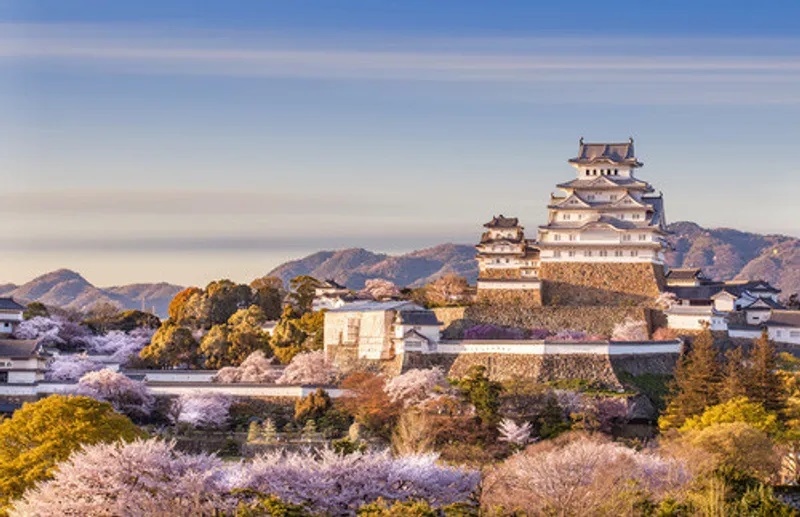 Castillo de Himeji visto desde lejos. Se puede contemplar los jardines a su alrededor.