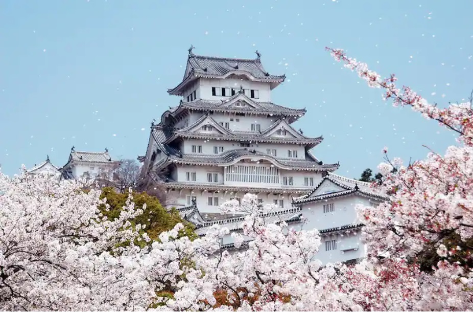 Castillo de Himeji, rodeado de árboles de sakura.