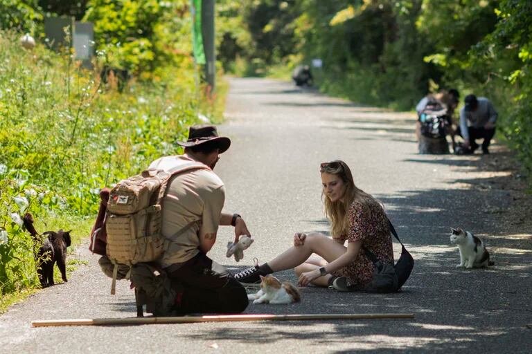 Turistas acariciando a los gatos.