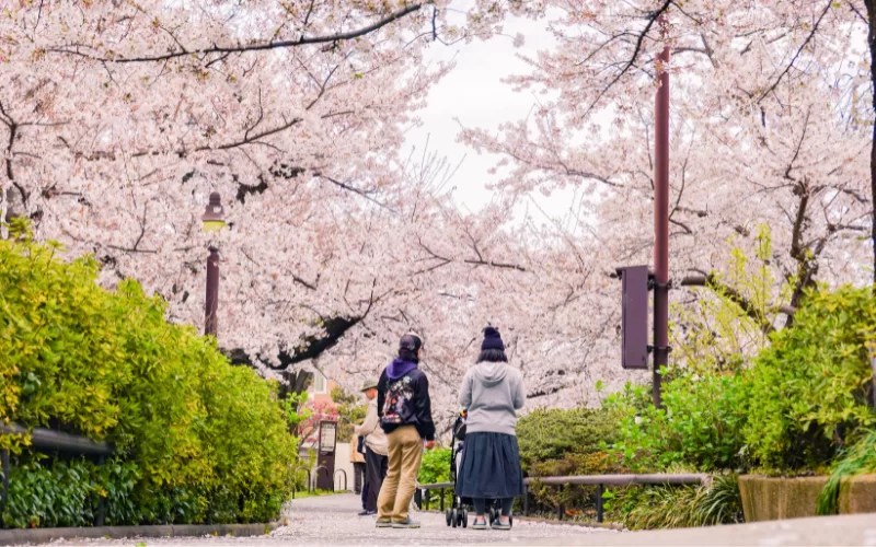 Shunbun no Hi o Día del Equinoccio de&nbsp;Primavera