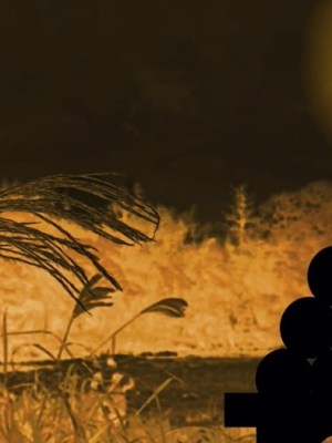 Otsukimi: la magia de la luna llena en&nbsp;Japón