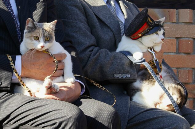 Una estación japonesa recién contrató a su tercer empleado gatuno