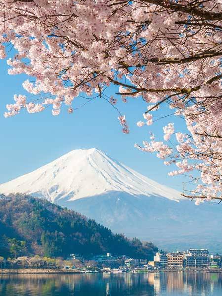 Fujikawaguchiko: donde el monte Fuji se refleja entre cerezos y lagos de&nbsp;ensueño