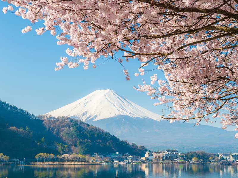 Fujikawaguchiko: donde el monte Fuji se refleja entre cerezos y lagos de&nbsp;ensueño
