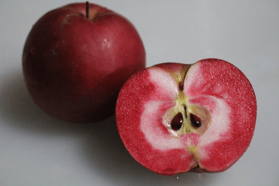 Manzanas de pulpa roja de Aomori.