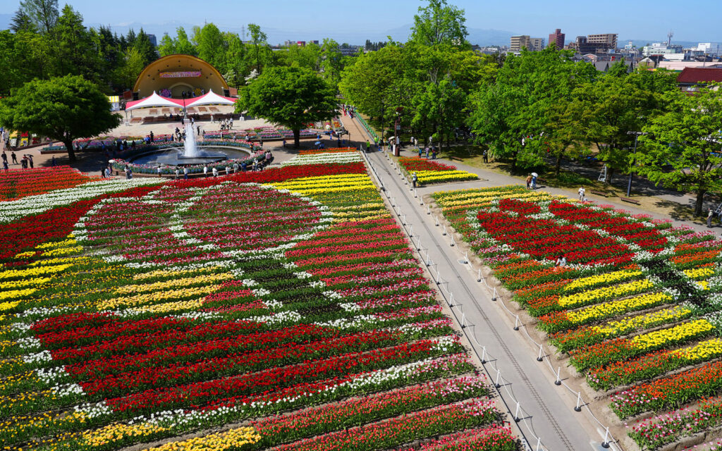 Un geoglifo formado por 210, 000 tulipanes.