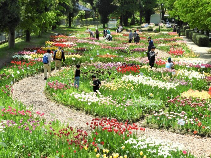 Gente durante el Festival de Tulipanes de Tonami.
