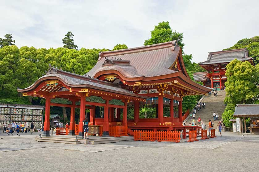 Santuario Tsurugaoka Hachimangu, Kamakura, Prefectura de Kanagawa.